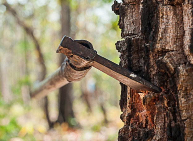 axe in the tree - pagania